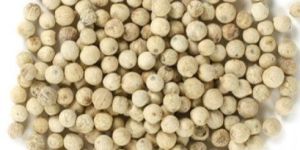 Dry Bold White Pepper