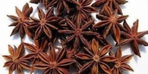 Star Anise
