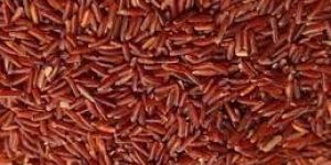 Red Rice