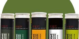 Roasted Flavored Peanuts