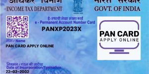 Pan Card Correction Service