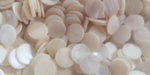 Natural Nucleus Button Mother of Pearl River Shell