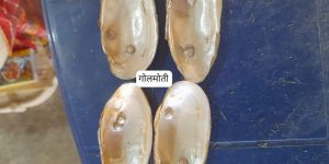 Dust Nucleus Cultural Pearl River Shell