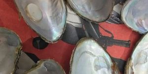 Natural Round Button Mother of Pearl River Shell