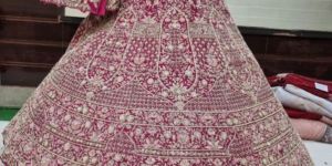 Ladies Fancy Embroidered Lehenga Choli