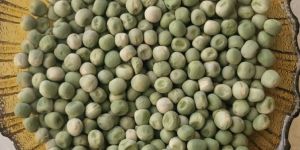 M7 Dried Green Peas