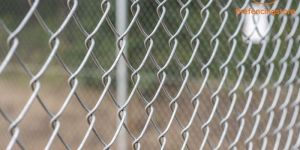 Chain Link Fence
