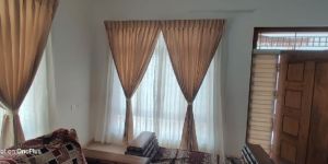 Window Curtains