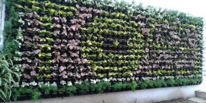 Natural Vertical Gardening Services