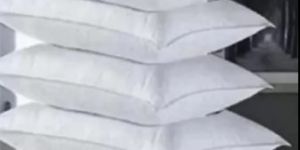 Soft Micro Fiber Pillow