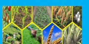 Trichoderma Harzianum Bio Pesticide