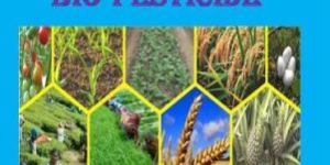 Trichoderma Viride Bio Pesticide