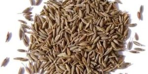 Cumin Seeds