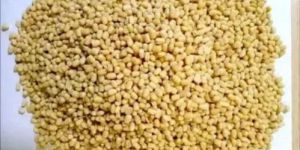 Yellow Whole Urad Dal