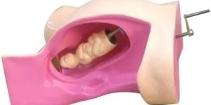 Delivery Dummy Model