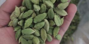 Green Cardamom