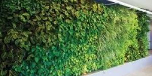 Artificial Green Wall