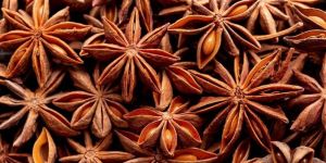 Star Anise Seeds