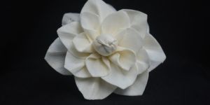 Sola Wood Flower