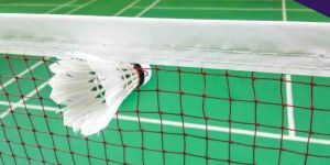 Badminton Nets