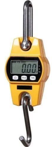 Electronic Crane Scale