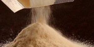 Malt Extract Powder