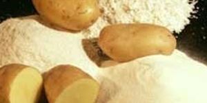 Potato Starch