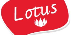 Lotus Disposable Paper Cups