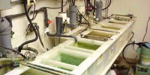 Electric Gold Plating Plant