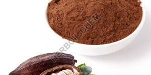 Theobroma Cacao Extract