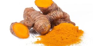 Turmeric Extract