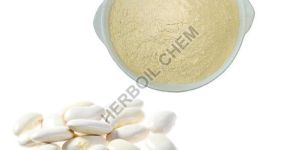 Kidney Beans Extract (Phaseolus Vulgaris)