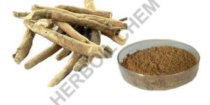 Withania Somnifera Extract ( Ashwagandha Somnifera)