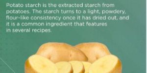 Potato Starch