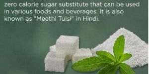 Stevia Powder (SG 95)