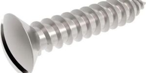 Self Tapping Screws