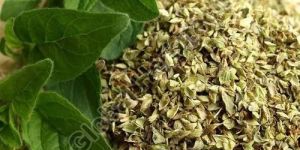 Origanum Vulgare Flakes