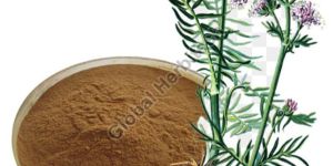 Valerian Root Extract