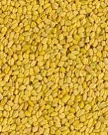 Fenugreek Seeds