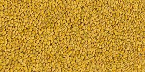 Fenugreek Seeds