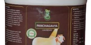 5 Litre Panchagavya Organic Liquid Fertilizer