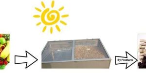 Solar Dehydrator