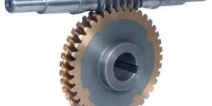 Bronze Worm Gear