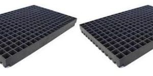 Blister Seedling Tray
