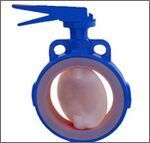 Teflon Butterfly Valves