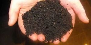 Desi Cow Dung Compost