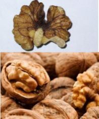 WALNUT OIL
