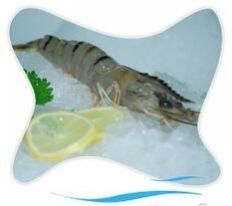 Farm Fresh Shrimps