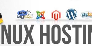 Linux Hosting
