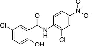 Bisoprolol Fumarate (EP/USP)